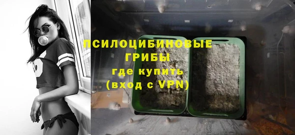 крисы Алексин