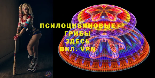 крисы Алексин