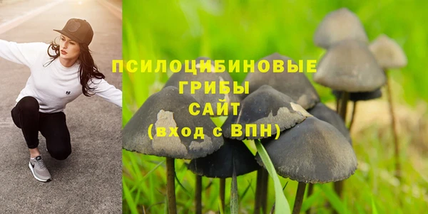 мяу мяу мука Алексеевка